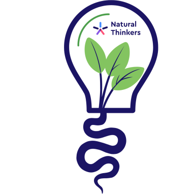 A logo with leaves growing inside a lightbulb